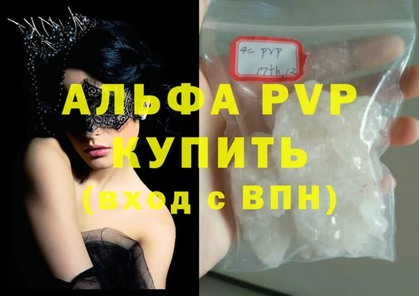 PSILOCYBIN Вязники