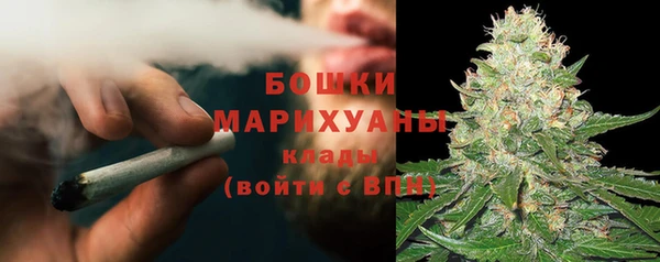 PSILOCYBIN Вязники