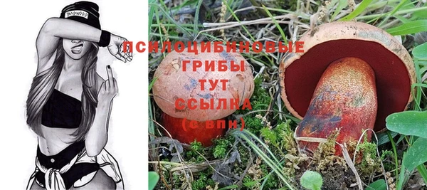 PSILOCYBIN Вязники