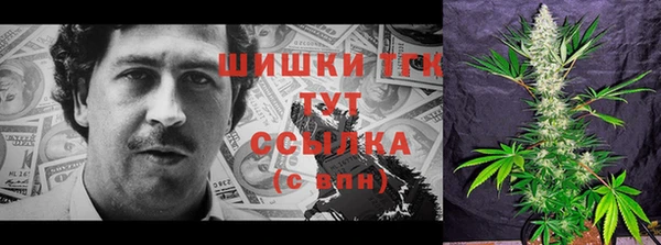 PSILOCYBIN Вязники