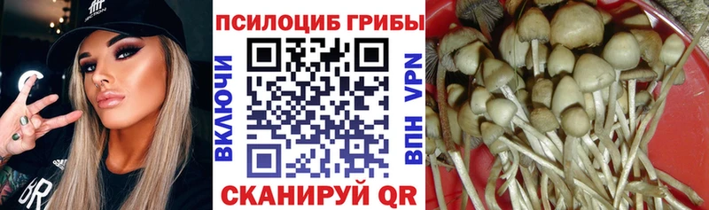 Псилоцибиновые грибы ЛСД  Купить  Кимры 